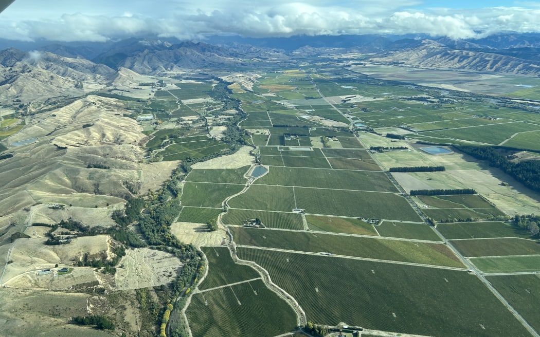 Vineyards in drought-stricken Marlborough, autumn 2024