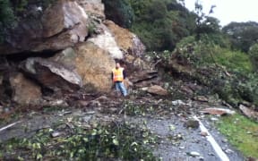 Boulders on SH6 near Haast on the West Coast.