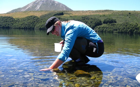 Mosquito researcher Sophie Hunt
