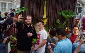 Fans held their nose as they viewed the endangered plant which emits a foul perfume.