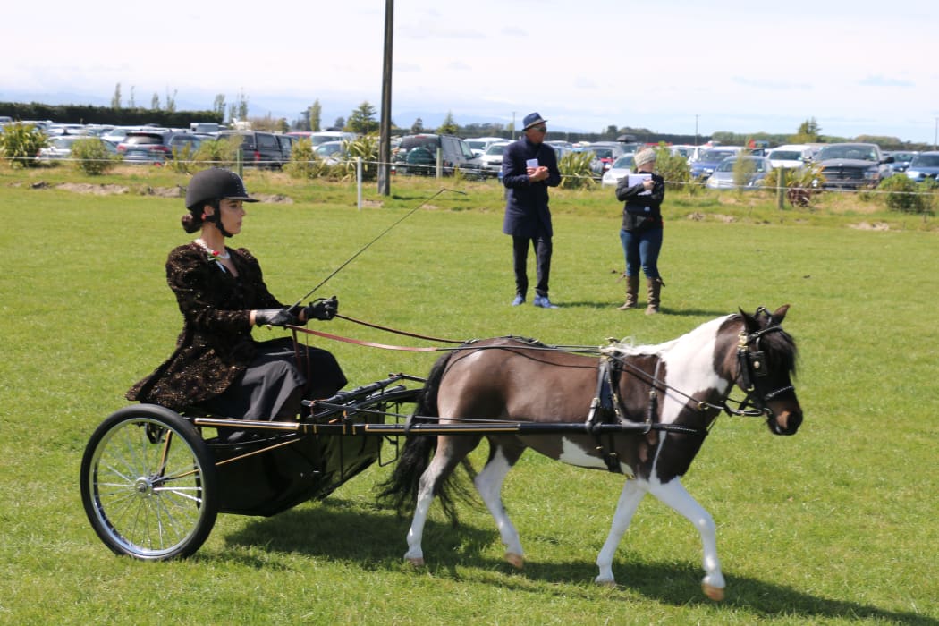 Ellesmere A&P Show