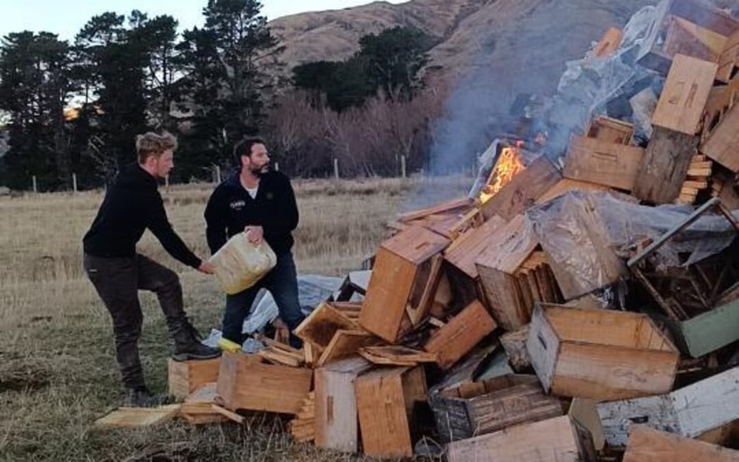 Beekeeper Steven Brown's hives