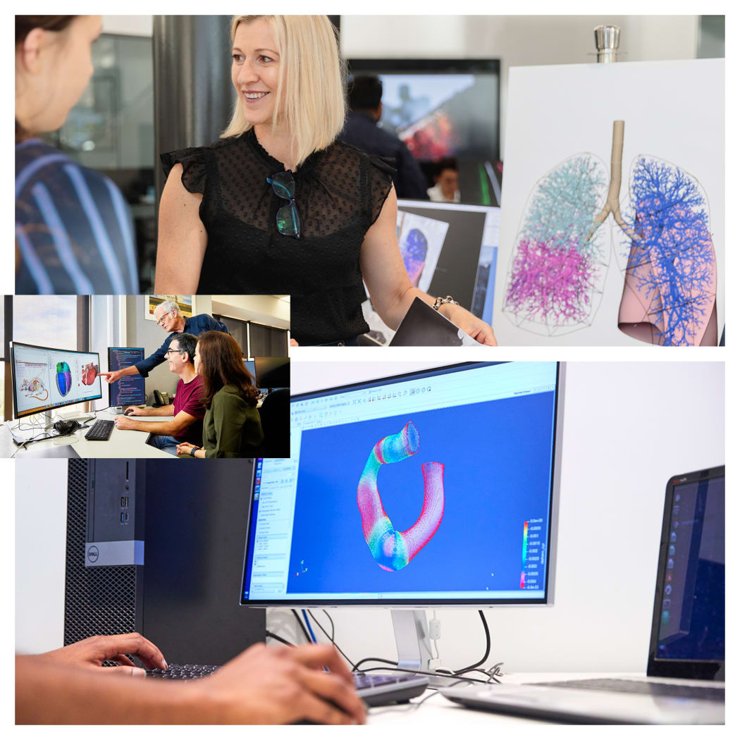 Merryn Tawhai computational modelling