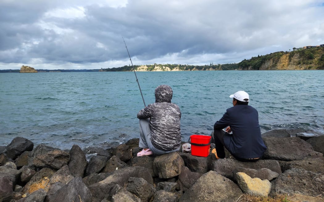 Gulf Harbour in Auckland.