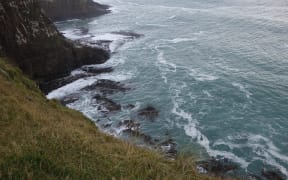 The cove near Curio Bay