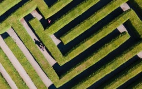 dpatop - 16 August 2022, Saxony, Kleinwelka: Visitors walk in the maze between the evergreen thuja hedge plants. The maze near Bautzen celebrates its 30th anniversary in 2022. (Aerial view with a drone) Photo: Sebastian Kahnert/dpa (Photo by Sebastian Kahnert / DPA / dpa Picture-Alliance via AFP)
