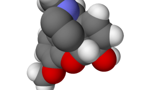 Codeine molecule