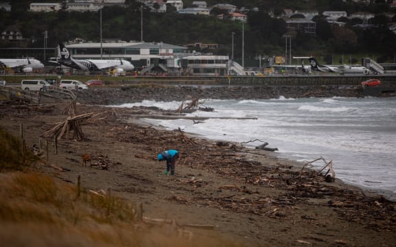 People on the beach at Lyall Bay, Wellington, 31 July 2025. Emergency officials warned the risk of tsumani surges was still very high following the 8.8 earthquake near Russia and people shouldn't go sightseeing at shorelines.