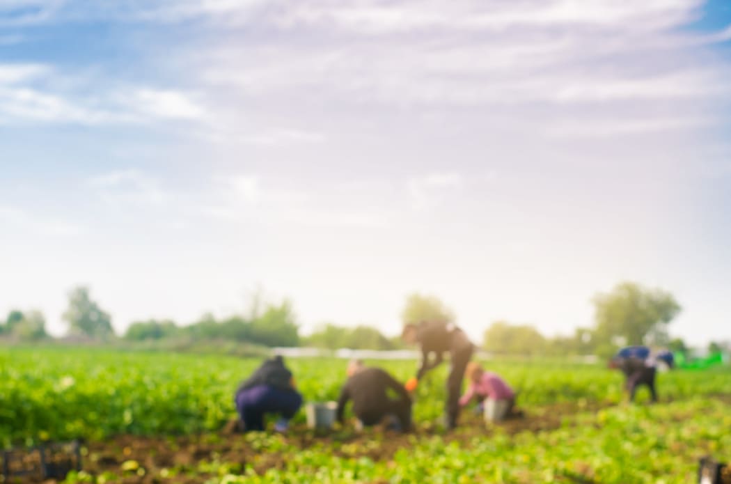 Migrant workers generic