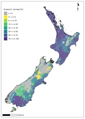 E coli critical catchment excess yields percent.