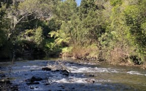 Taranaki's mountain streams are unsafe for swimming by the time they reach the coast.