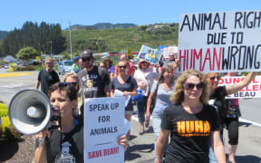Protesters make their way to the council.