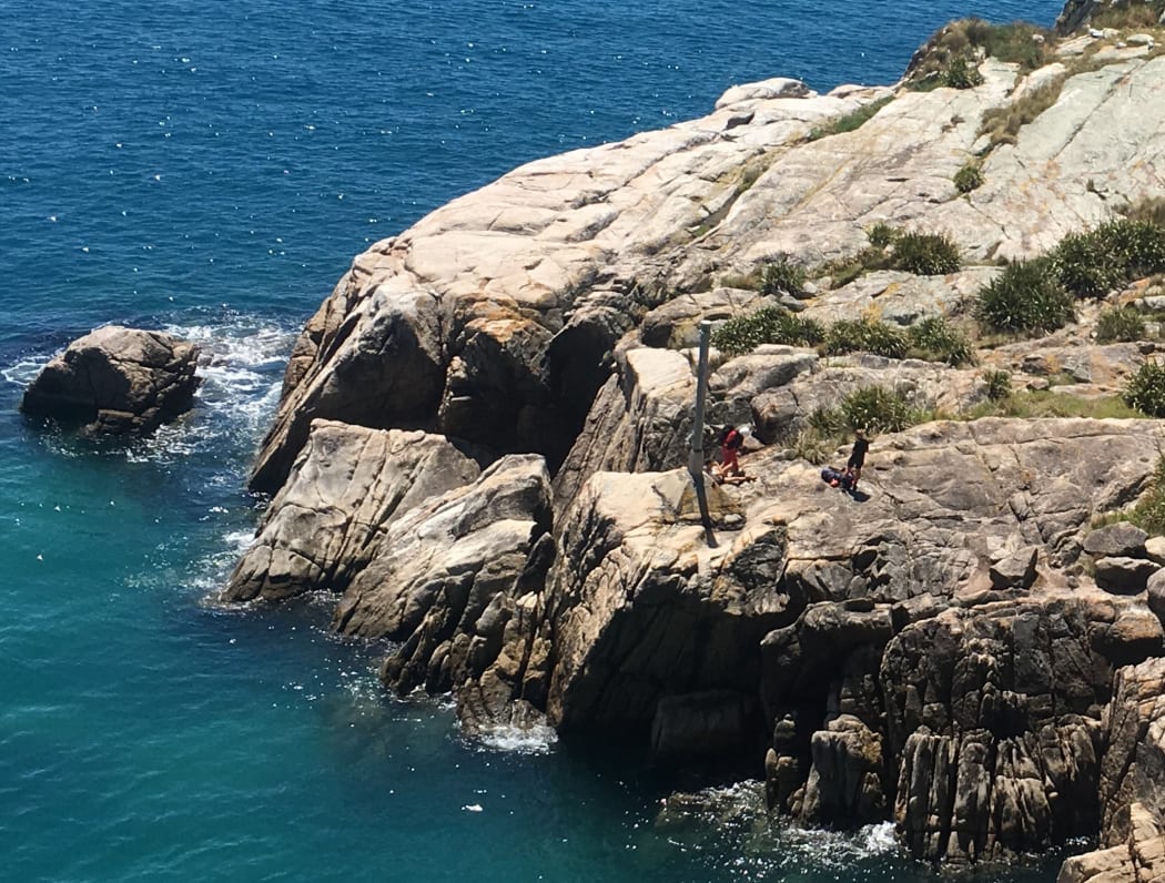 Seals attacked an 18-year-old tourist tramper who went swimming off rocks in Abel Tasman National Park.