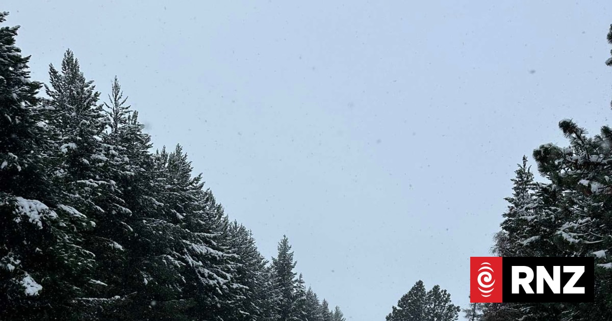 Weekend weather: Negative temps Friday and more frosty days expected | RNZ