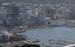 Wellington generic