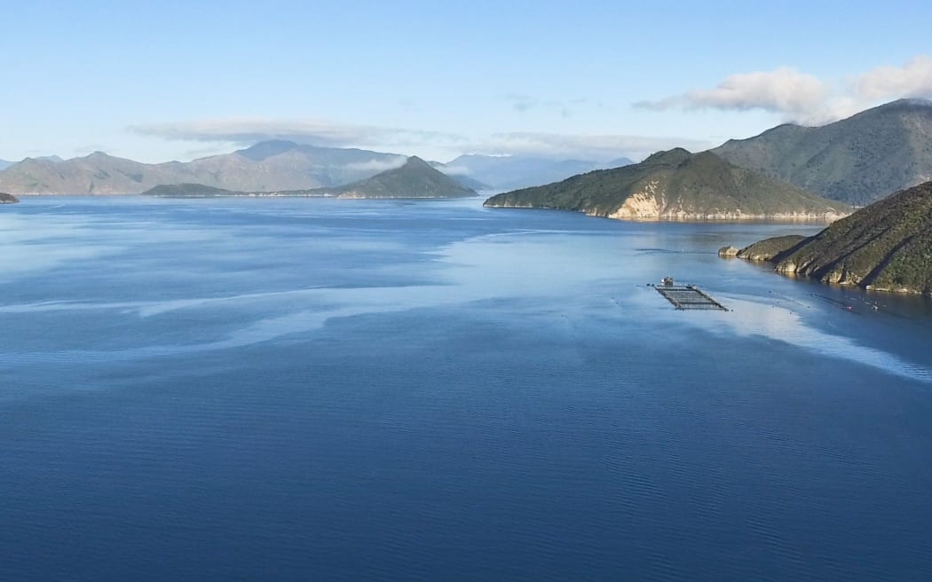 02032018 News photo supplied NZ King Salmon new high flow Waitata farm in Pelorus Sound Marlborough