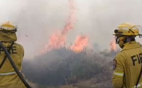 Firefighters work to put out the blaze on Matakana Island on 24 December, 2023.
