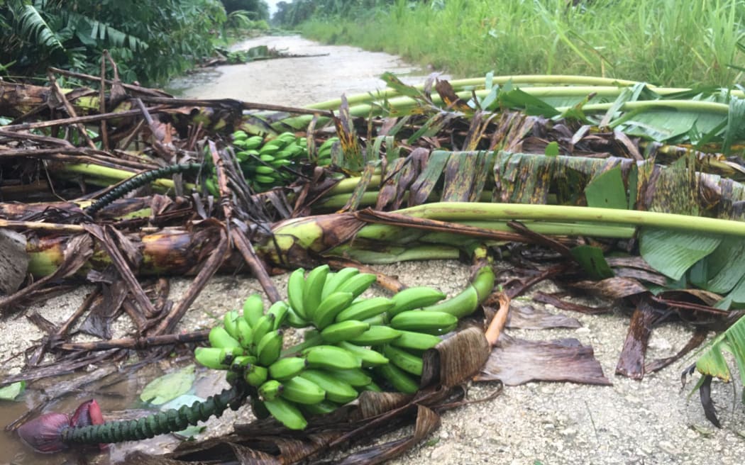 Cyclone Irene damage in Port Vila.