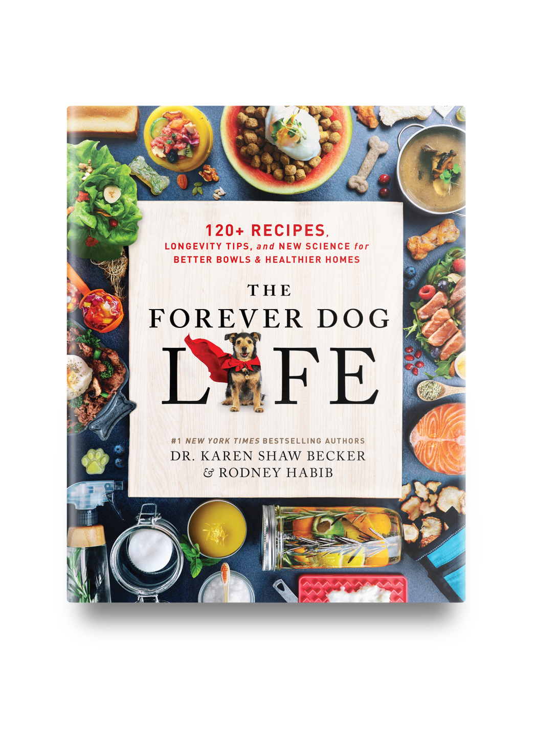 The Forever Dog Life book cover
