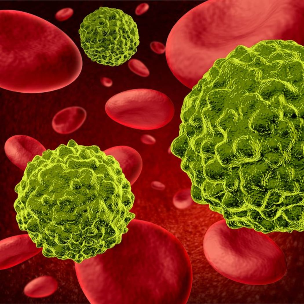 Cancer cells spreading and growing through the body via red blood cells.