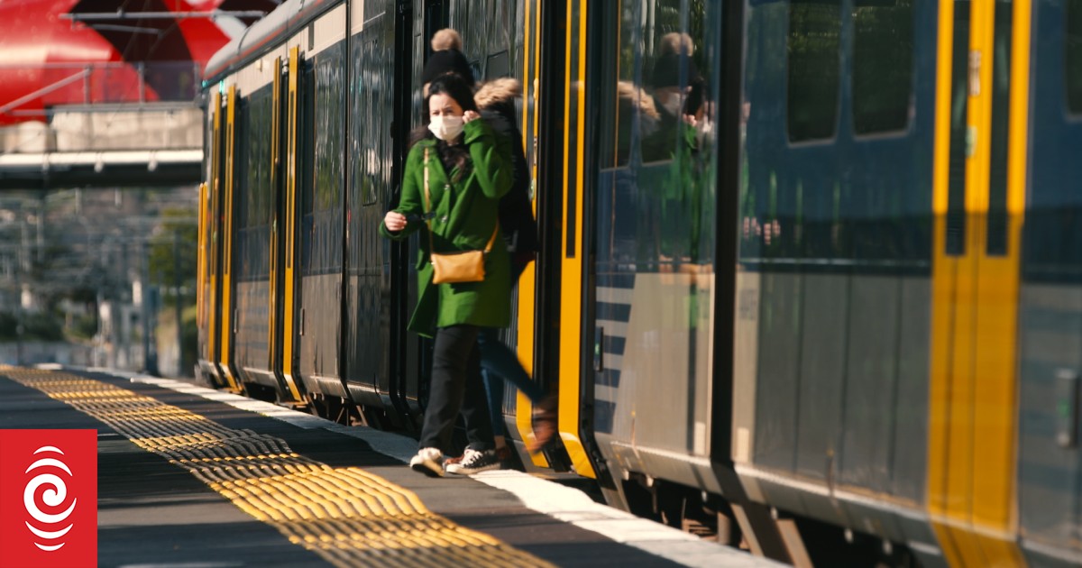 Auckland's western train line commuters can expect more reliable services 'in the coming months' - Vimarsana News