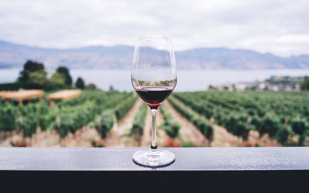 Wine glass on railing, wine, grapes, vines, stock image, generic