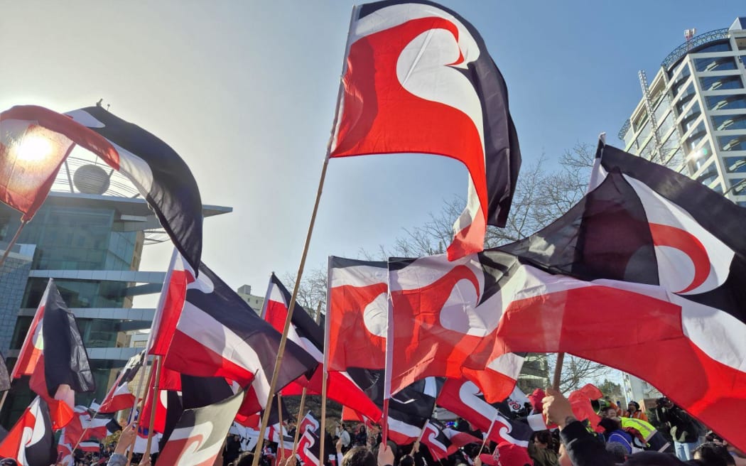National Māori Action Day protesters, opposing government policies toward Māori, in central Auckland ahead of the release of Budget 2024 on 31 May 2024.