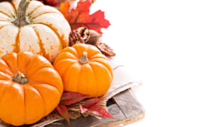 Pumpkin still life  with nuts and spices isolated on white