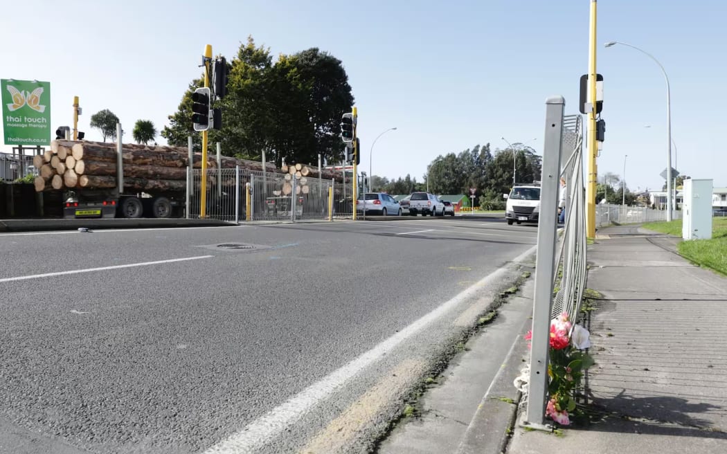 Bethlehem pedestrian crossing where Geoffrey and Karen Boucher were killed. Photo / Mead Norton