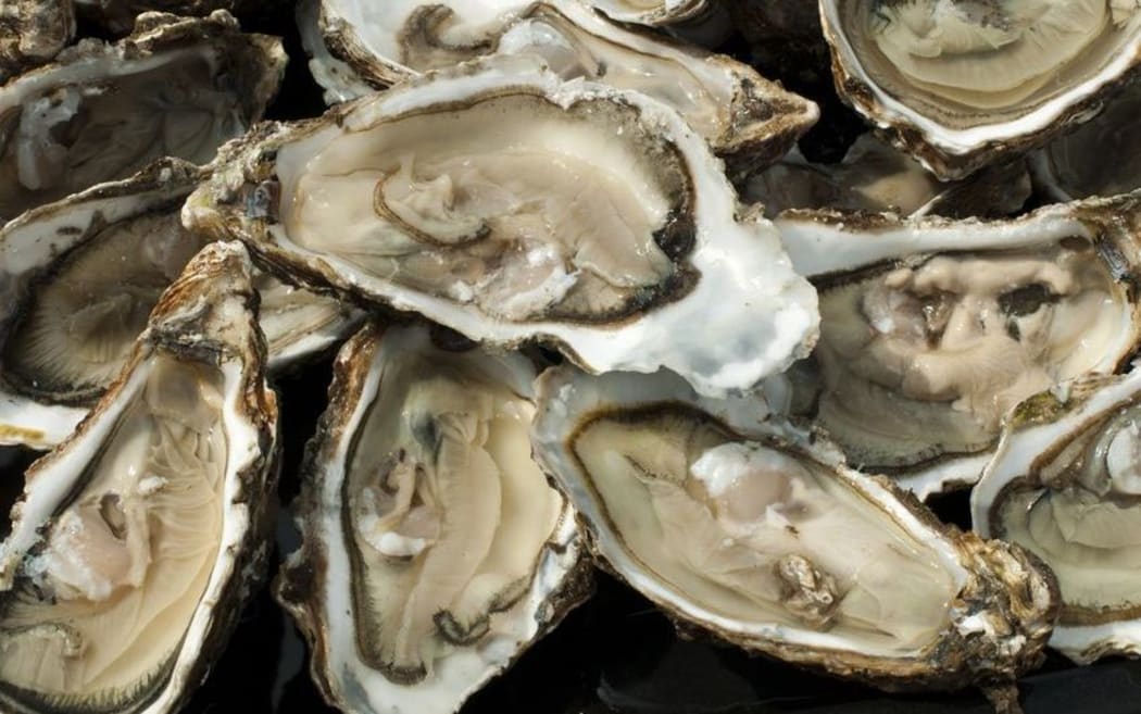 Oysters