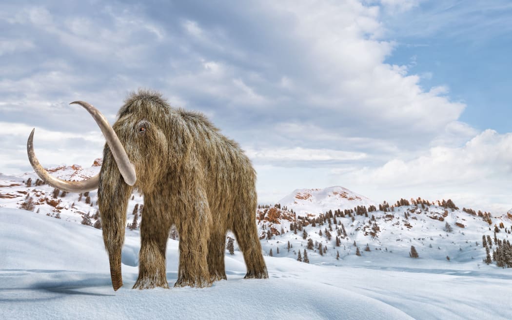Woolly mammoth set in a winter scene environment. 16/9 Panoramic format. Realistic 3d illustration.