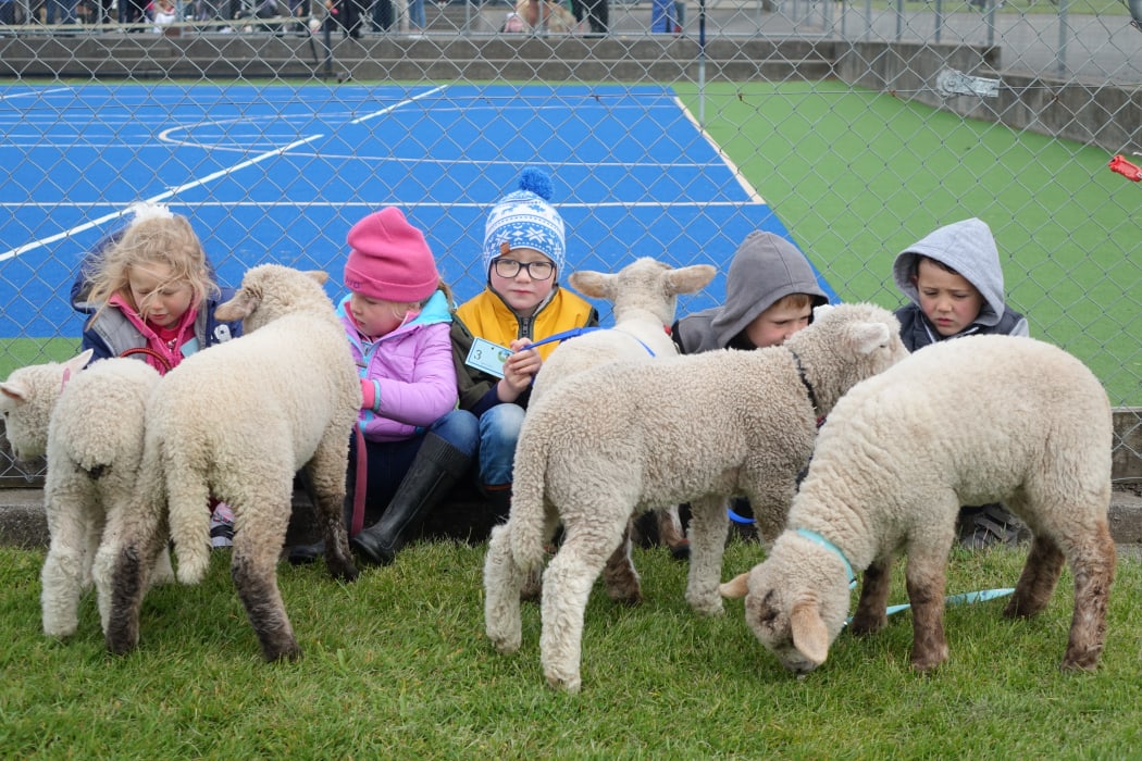 Ngaere School's "show day" in Taranaki.