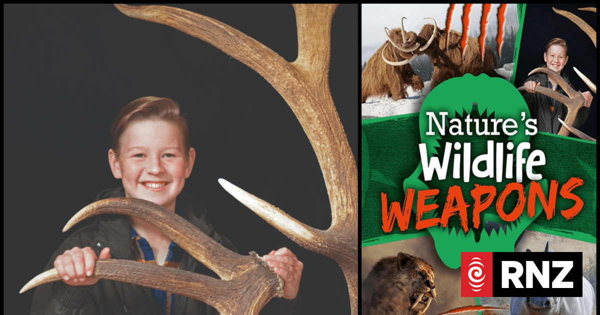 Finding the weird and wonderful in nature's wildlife weapons | RNZ