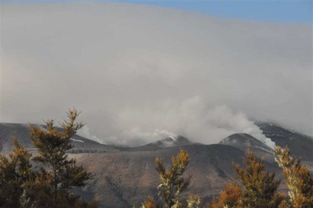 Steam billowing from the Te Maari area, as seen from the base of the Alpine Crossing.