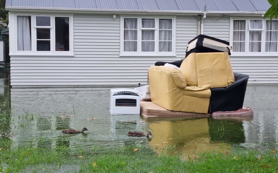 Ducks swim past flood-damaged furniture piled up on a sodden lawn in Mt Roskill.