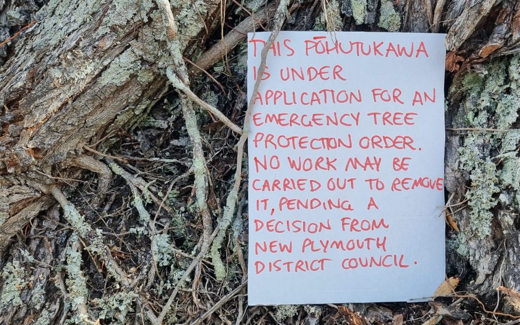 A sign warning an emergency protection order has been made for the tree.