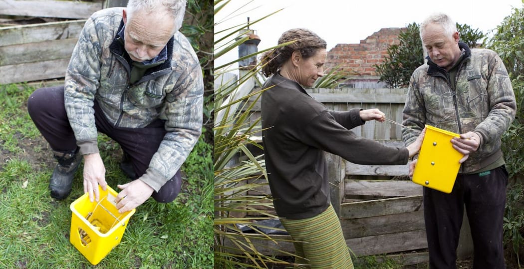 Setting a Timm's possum trap