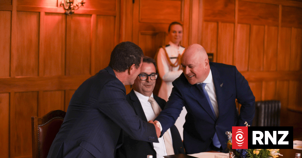 Government's newest ministers sworn in after cabinet reshuff