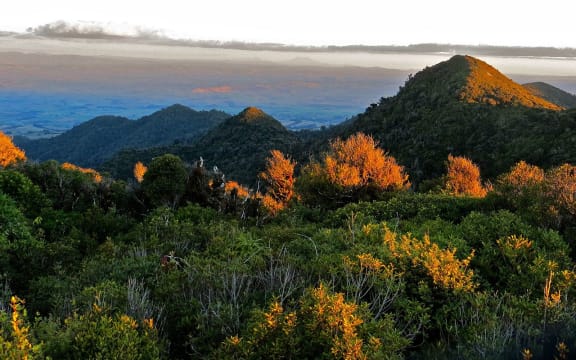 Central plateau from Pirongia at sunset