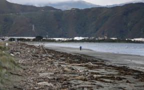 Winter, Petone Beach, Wellington.