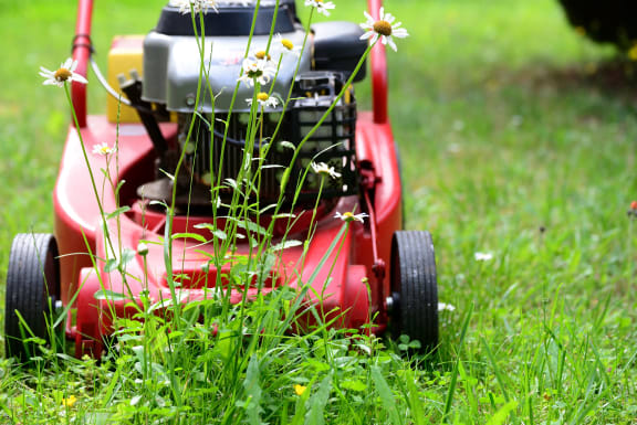 A red motor mower cuts the grass