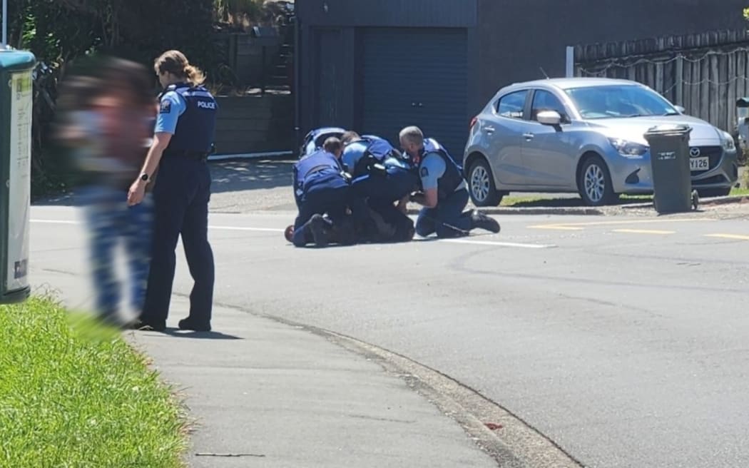 Police were called to reports of a man armed with a blade from a pair of hedge trimmers, who had trapped a woman and her baby in a Wellington bus-stop in January.