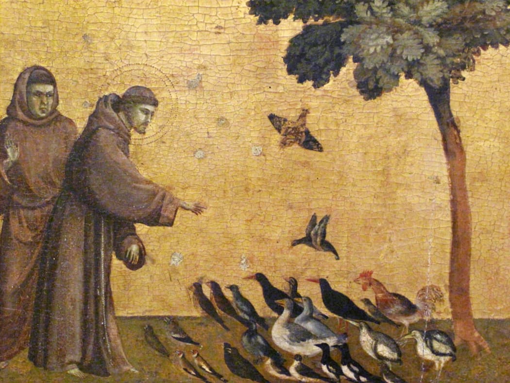 St Francis addressing the birds - Giotto.