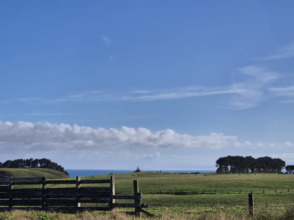 The roots of the McClutchie family run deep on family whenua in Pukearuhe in North Taranaki.