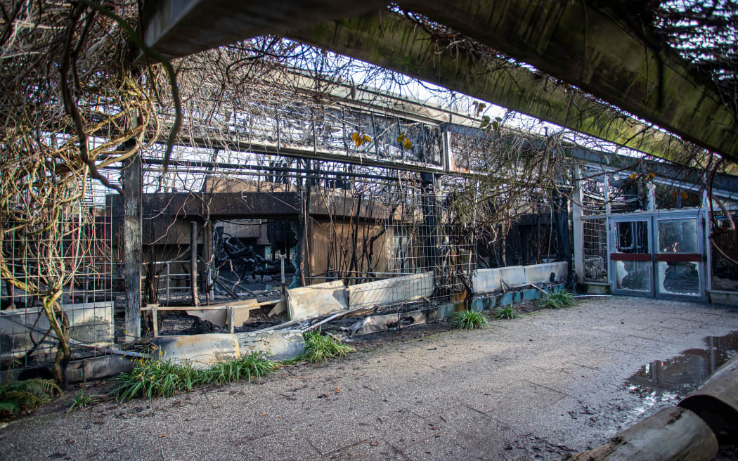 01 January 2020, North Rhine-Westphalia, Krefeld: The burnt down monkey house can be seen after the fire in the Krefeld Zoo on New Year's Eve.