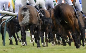 The case has been labelled the biggest scandal in Australian horse racing.