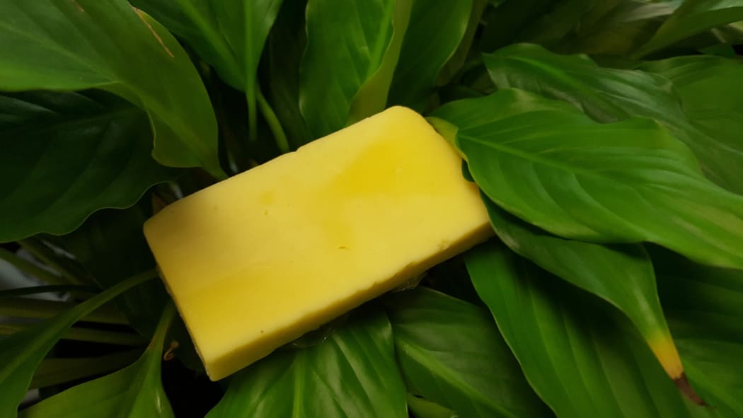 cheese in the garden