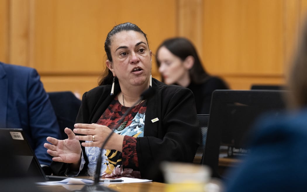 ACT Party MP Karen Chhour in Select Committees during the 2023 Estimates Hearings.