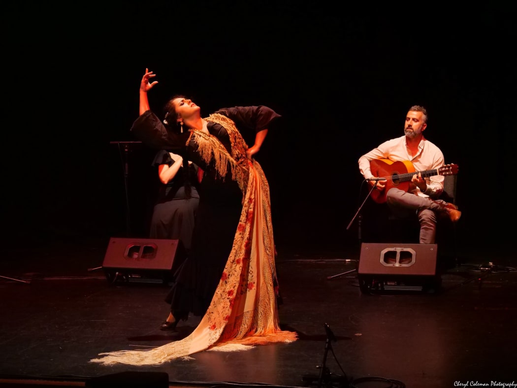 Paul Bosauder -  a NZ born flamenco guitarist