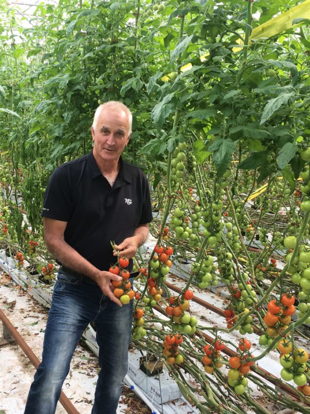 Greg Prendergast of Rohe Produce Ltd